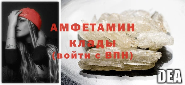 apvp Каменногорск