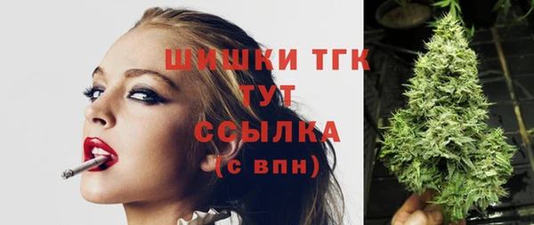 стафф Каменск-Шахтинский