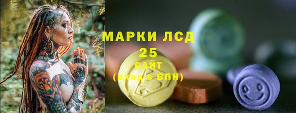 apvp Каменногорск
