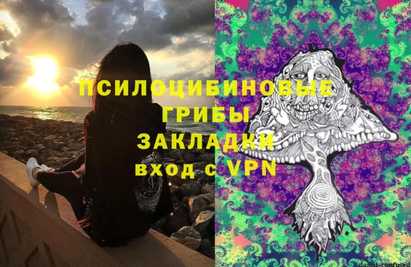 mdpv Каменка