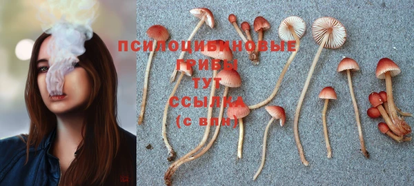 mdpv Каменка