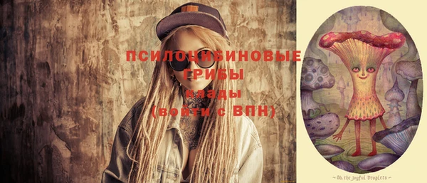 стафф Каменск-Шахтинский