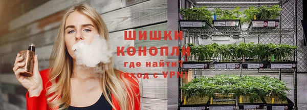 mdpv Каменка