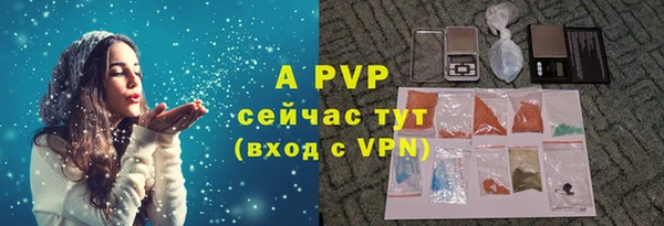 apvp Каменногорск