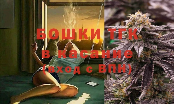 mdpv Каменка