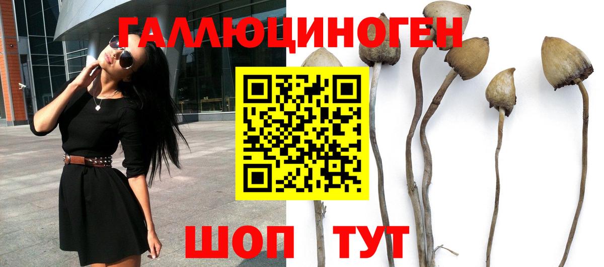Ишим  Псилоцибиновые грибы ЛСД  Вход с VPN 